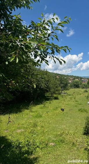 Teren de 740 mp, în Valea Doftanei
