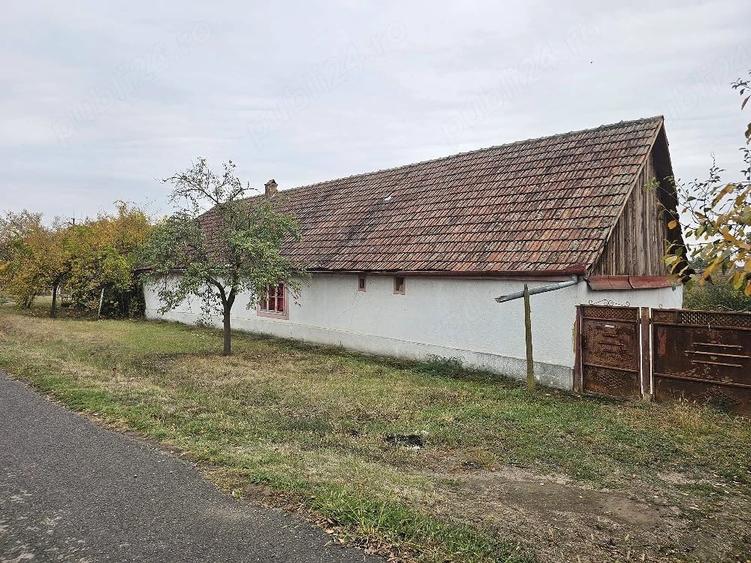 Casă cu Teren 1000 Mp în Pișchia