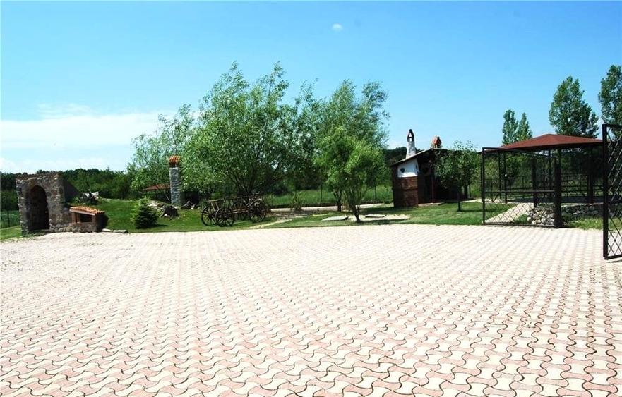 INVESTITIE!Imobil P+1,8 camere 380mp,teren 1629mp +crama superba+foisor - 6