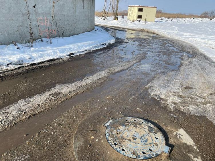 Teren de vanzare - 1