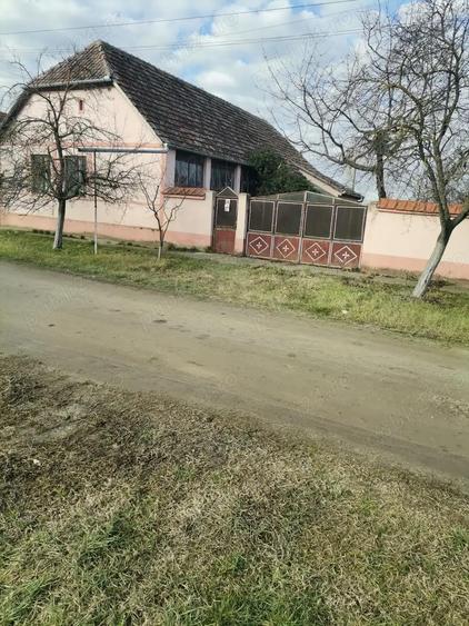 Casa de vanzare :Sat Satu Mare, comuna Secusigiu jud Arad - 3