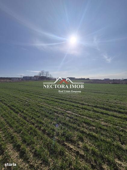 NECTORA IMOB-Teren Intravilan 537 mp, Zona Solay, 250 m de asfalt - 7