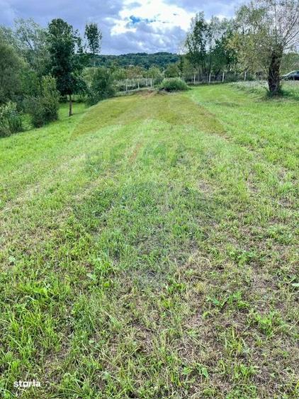 Teren 1,884mp Berbesti / Drumul secundar - 3