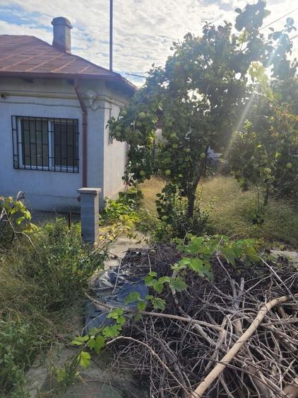 UNICAT! CASA CU TEREN 900MP ZONA COICIU - 6