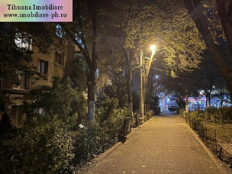 Apartament 2 camere de inchiriat : Central-Cantacuzino (Vasile Lupu) - 1