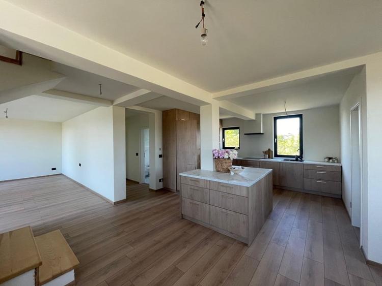 Duplex 6 camere 400mp teren Mosnita Noua - 1