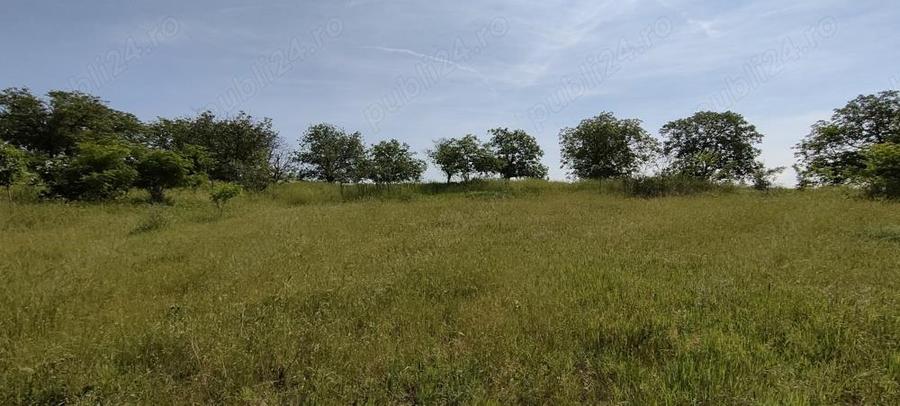 Vand teren Adamclisi judetul Constanta - 8