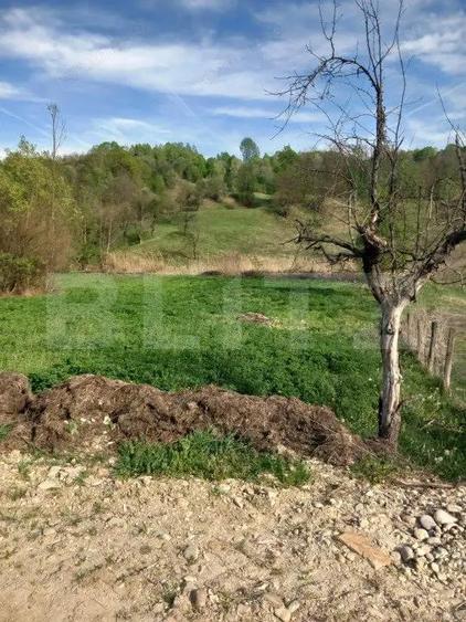 Teren intravilan/extravilan - 6