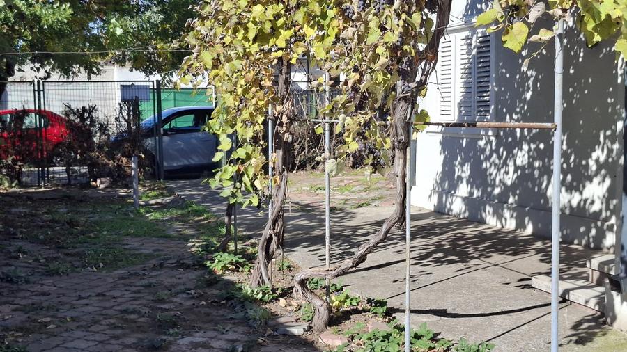 Zona Abator - casa 3 camere + teren 282 mp (deschidere 14.34 ml ) - 4