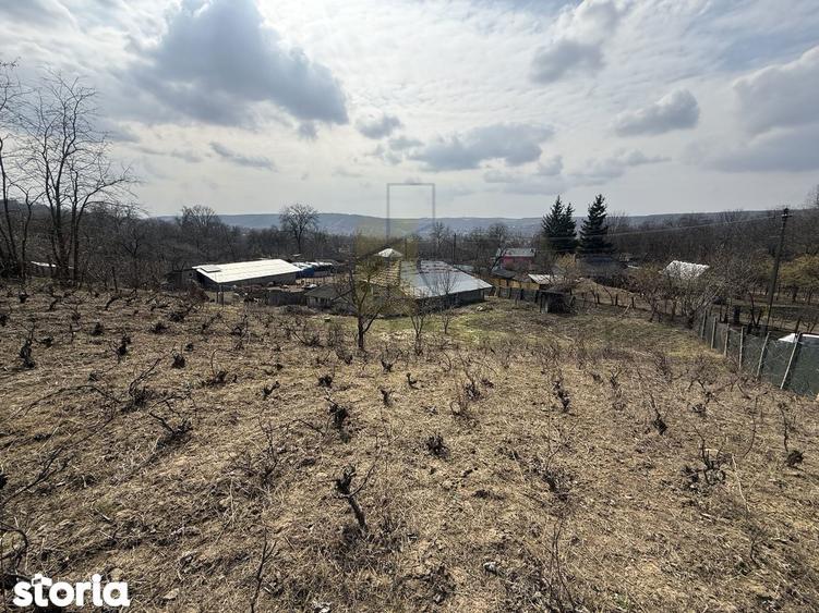 Casa batraneasca + Teren 1191 mp | Dobrovat (Iasi) | Liniste si natura - 7