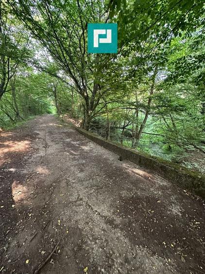 Teren Intravilan, în orașul Sebiș, Arad - 9