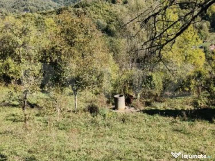 Teren cu priveli?te superba , livada ?i poten?ial casu? - 15