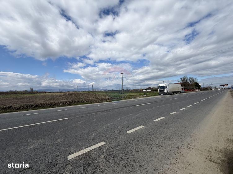 Teren 9,431mp Bizighesti / DJ 205E - 6