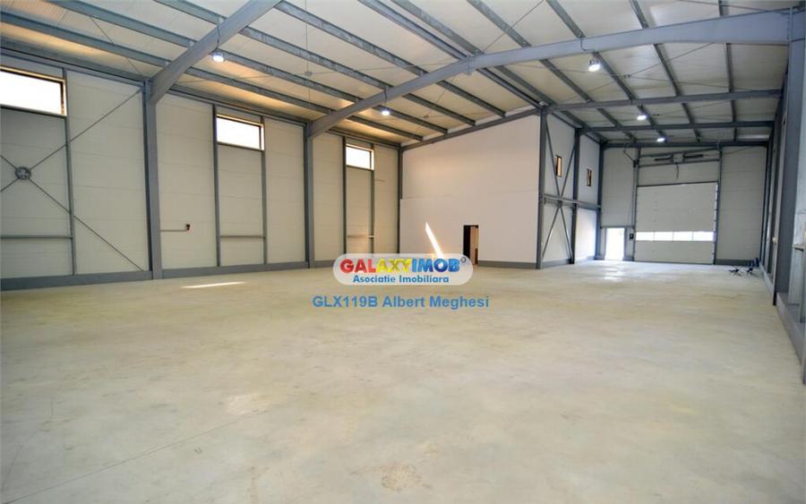Hala 590 mp Chitila Rudeni- centura - 12