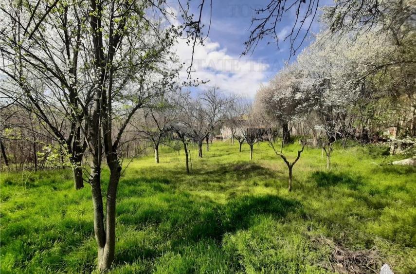 Gradina Sanandrei ultracentral - 2