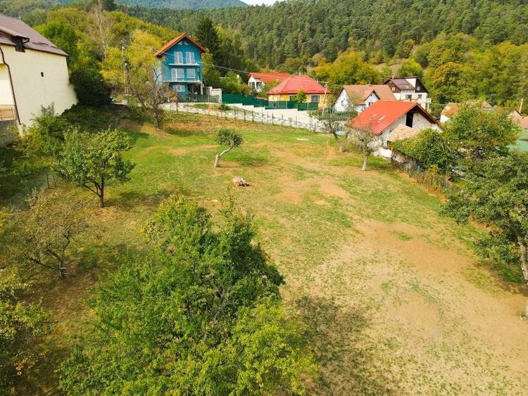 Teren Intravilan 3290 mp Codlea 3 Parcele - 6