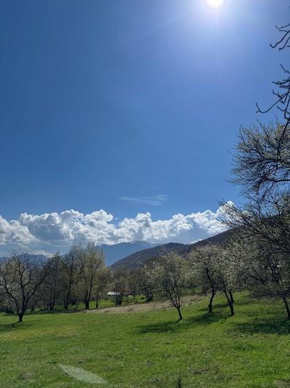Teren in Bran Predelut la poale de munte intravilan - 1