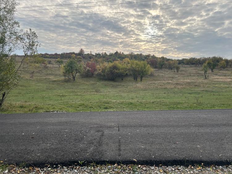 Teren intravilan - 6