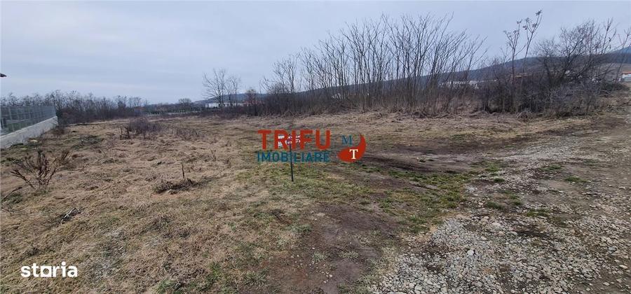 Teren pentru casa in zona Podei 1091mp - 6