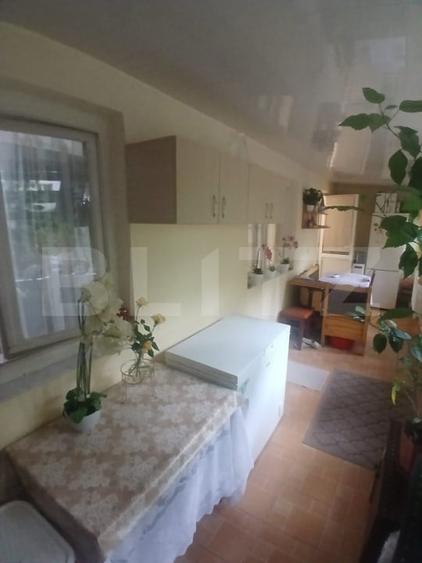Apartament 2 camere zona Alexandru cel Bun - 17