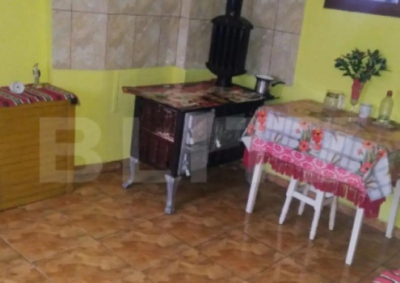 Oportunitate investi?ionala Casa cu teren extins in - 11