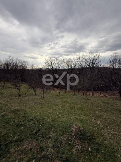 Teren intravilan 3052 mp | Băcești, Drăganu | asfalt | utilități la poartă - 2