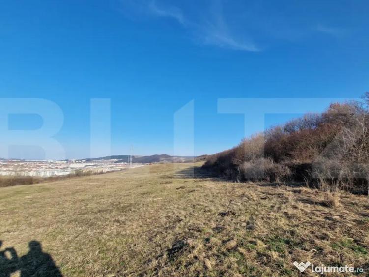 Teren extravilan, 5600mp, ideal investitie de viitor, zona V - 2