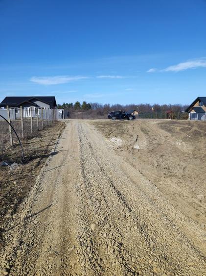 Teren intravilan Paun - 4