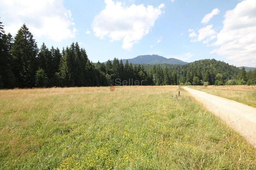 Poiana lui Manole - teren Intravilan - 15