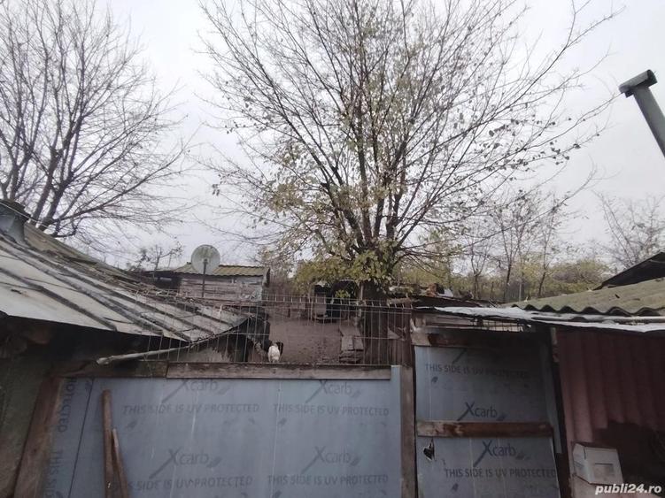 Proprietate cu casa ?i teren generos - 6