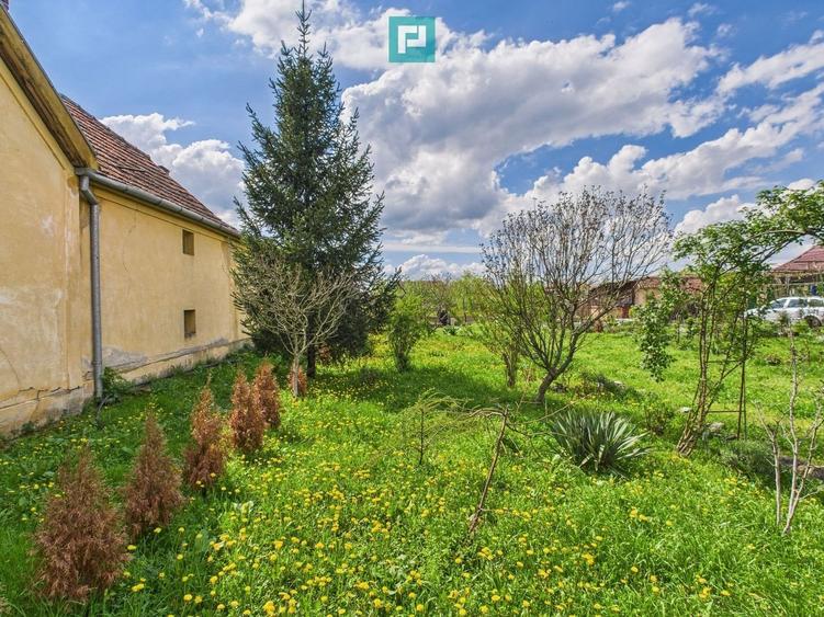 Casă individuală la Beregsău Mare, 2890 mp teren - 28