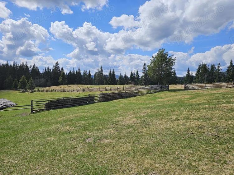 Teren de vanzare 15 hectare in Bucovina Moldova Sulita zona Lucina - 10