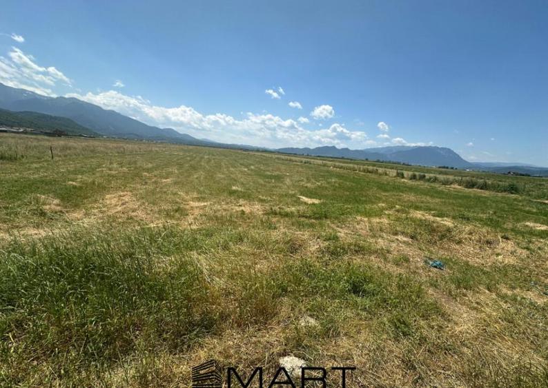 Teren Intravilan Rasnov 7.500 mp - 4