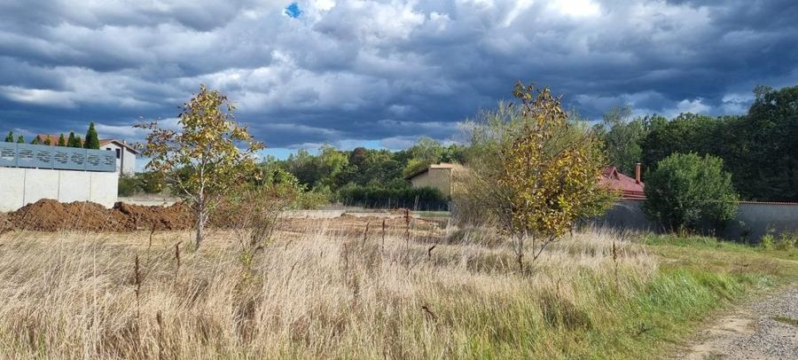 Lot Compact - Pretabil Lotizare - Dezvoltare proiect Vile - 3