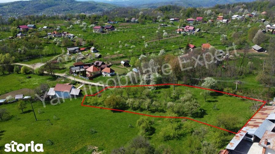 Teren 2677 mp de vanzare in comuna Valea Ia?ului, jude? Arge?. - 7