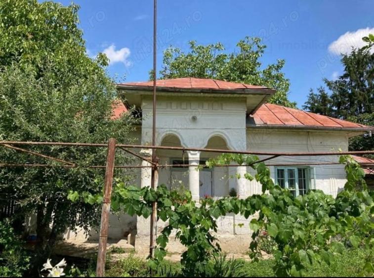 Vand 1200 mp (teren intravilan+ casa), Leu , jud Dolj livada pomi - 6