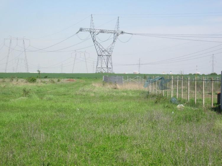 Domnesti-Simfoniei. - 13