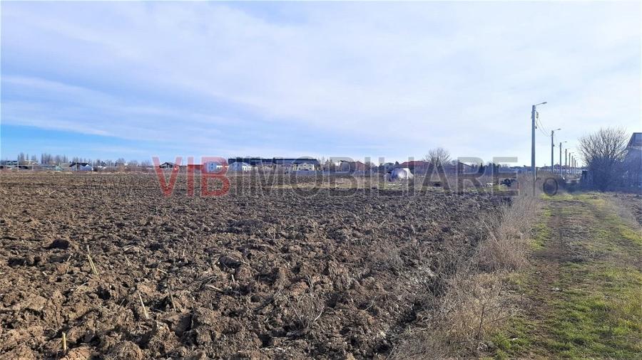 Otopeni - Strada Alexandru Ioan Cuza - 3