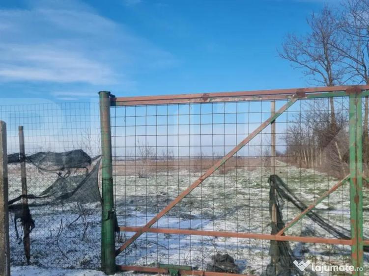 Teren cu livada Nuci- Oportunitate investitie- CioraniPh - 1