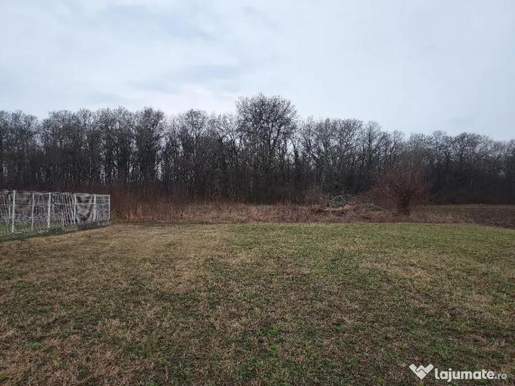 Teren de vanzare Batesti Prahova (langa padure, lac de pescuit) 2793m2 - 4