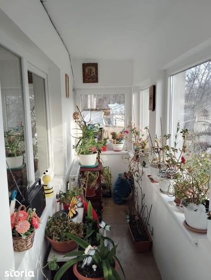 De vanzare casa ?i teren cu o suprafata de 13000 mp, 52.000 euro - 9