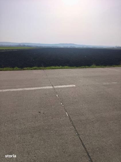 Teren extravilan, 9300mp, 55ml deschidere la drum, Satu Mare, Radauti - 3