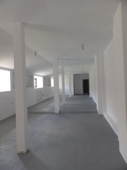 Casa parter plus Mansarda zona Ultracentrala, teren 550mp - 9