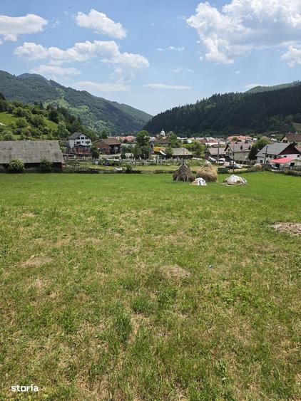 Teren intravilan parcelabil 1000 mp - Rucar, Arges - 2