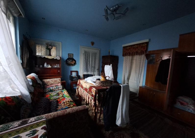 Casa de vanzare in Ibanesti - 10