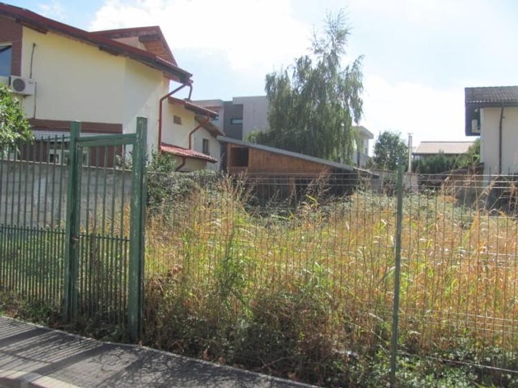 Bragadiru - Zona Haliu, Stradal - 1