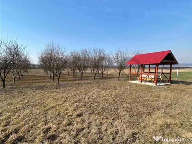 RECO Teren intravilan in zona Alesd Sat Subpiatra 800mp - 1