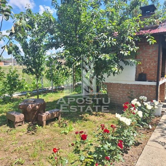 Casa individuala in Ianova,Comuna Remetea Mare - 8