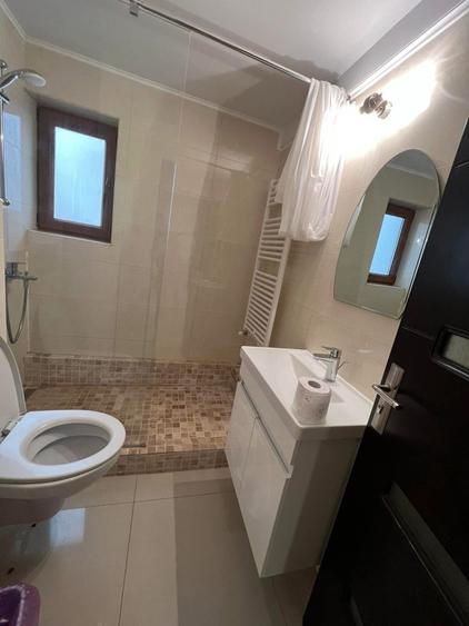 Ap. 2 camere CITY PARK MALL- 56mp mobilat, utilat - vedere spre Parcul Tăbăcărie - 4