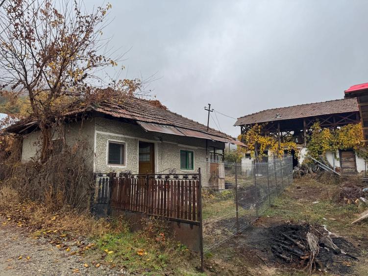 Teren intravilan - 5